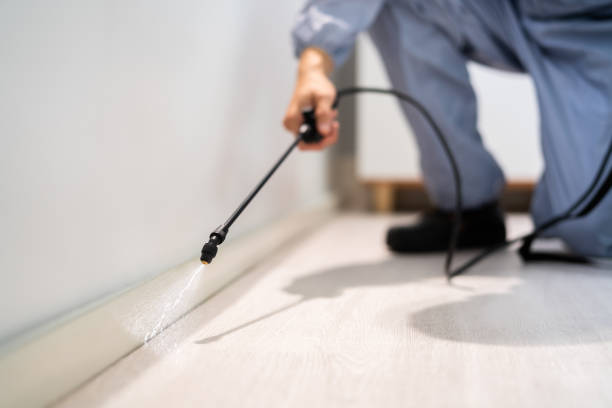 Licensed Ant Control service in Tulsa County County, OK - Nex Pest Control
